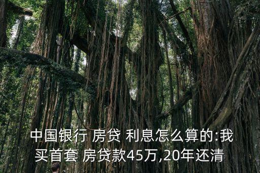  中國銀行 房貸 利息怎么算的:我買首套 房貸款45萬,20年還清