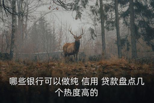 哪些銀行可以做純 信用 貸款盤點幾個熱度高的