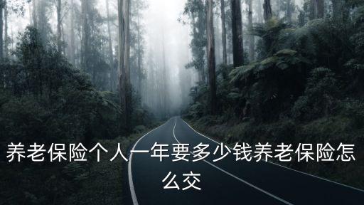 養(yǎng)老保險個人一年要多少錢養(yǎng)老保險怎么交