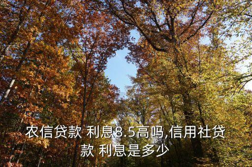 農(nóng)信貸款 利息8.5高嗎,信用社貸款 利息是多少