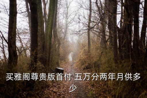 買雅閣尊貴版首付 五萬分兩年月供多少