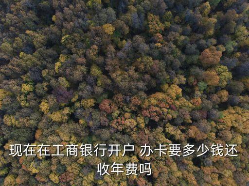 工行自助辦卡多少錢,工行卡鎖了怎么自助解鎖
