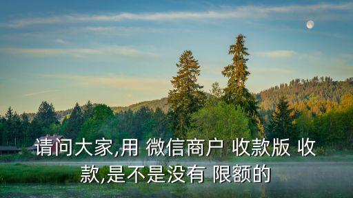請(qǐng)問(wèn)大家,用 微信商戶 收款版 收款,是不是沒(méi)有 限額的