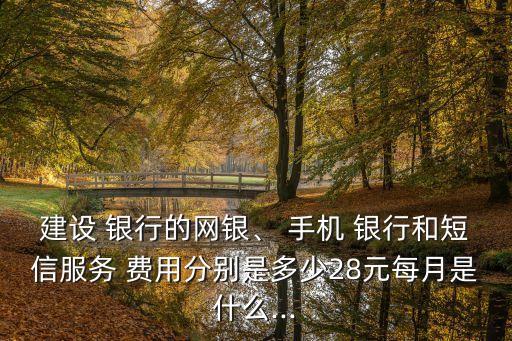 建設(shè) 銀行的網(wǎng)銀、 手機(jī) 銀行和短信服務(wù) 費(fèi)用分別是多少28元每月是什么...