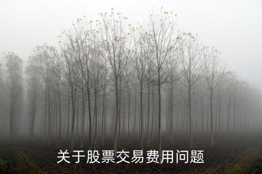 關(guān)于股票交易費(fèi)用問題