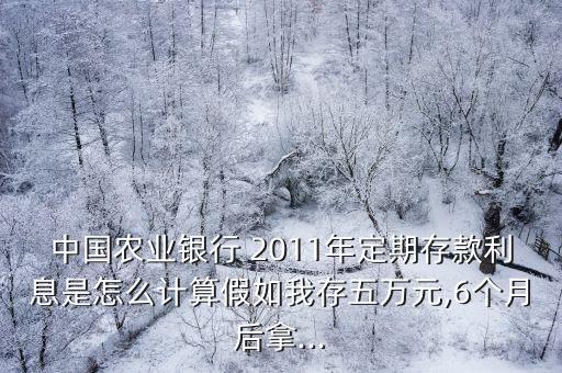 中國農(nóng)業(yè)銀行 2011年定期存款利息是怎么計算假如我存五萬元,6個月后拿...
