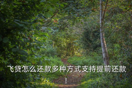  飛貸怎么還款多種方式支持提前還款!