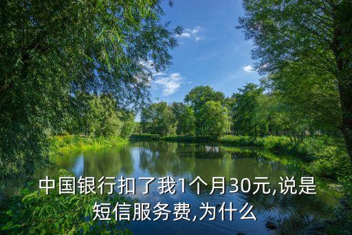 中國(guó)銀行一個(gè)月扣多少,銀行卡空著要扣費(fèi)嗎