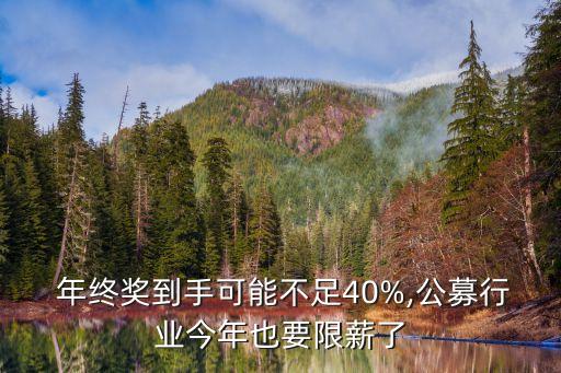 產(chǎn)業(yè)基金年終獎多少,浦銀安盛基金年終獎