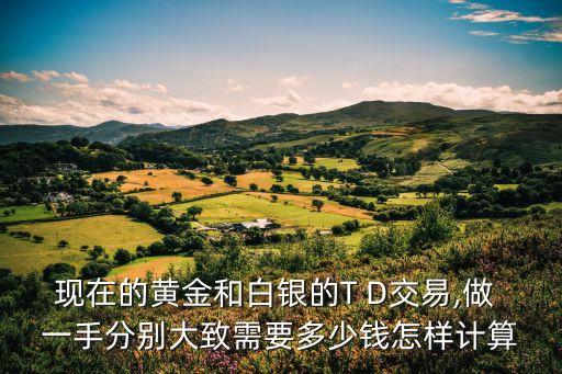貴金屬多少錢一手,投資貴金屬要多少錢
