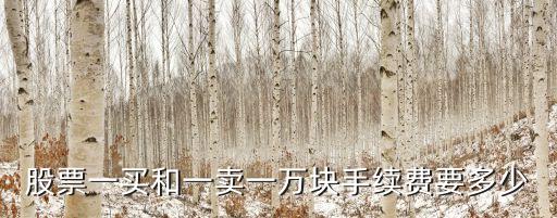 15000元是1股總成本是多少錢