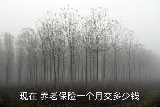 現(xiàn)在 養(yǎng)老保險(xiǎn)一個(gè)月交多少錢