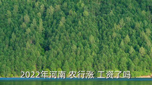 2022年河南 農(nóng)行漲 工資了嗎