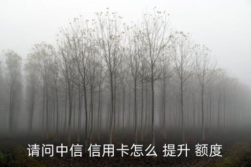 中信銀行校園信用卡額度怎么提升額度多少錢