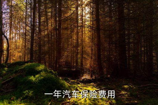  一年汽車保險費(fèi)用