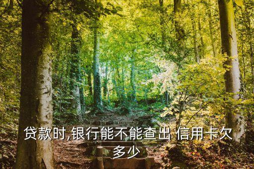 貸款時,銀行能不能查出 信用卡欠多少