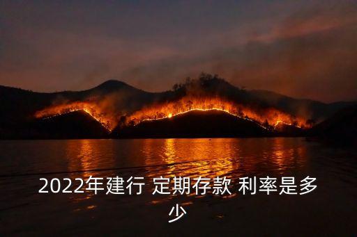 2022年建行 定期存款 利率是多少