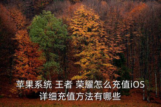 王者榮耀銀聯(lián)卡多少錢,v8王者榮耀多少錢