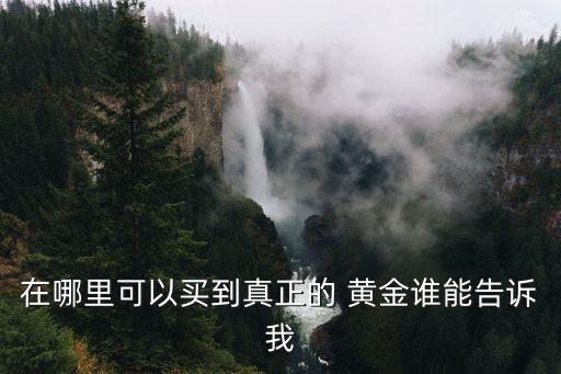 蘇黎世黃金市場(chǎng)距今有多少年