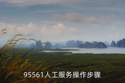 95561人工服務(wù)操作步驟