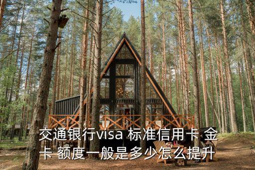  交通銀行visa 標(biāo)準(zhǔn)信用卡 金卡 額度一般是多少怎么提升