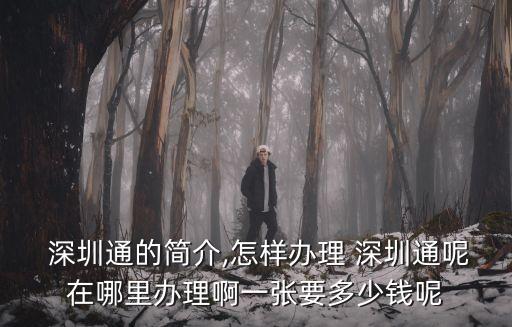 深圳公交卡買一百有多少在里面