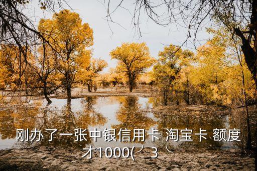 剛辦了一張中銀信用卡 淘寶卡 額度才1000(╯3╰