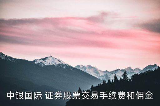 中銀國際 證券股票交易手續(xù)費和傭金