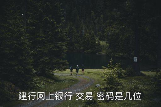 建行網(wǎng)上銀行 交易 密碼是幾位