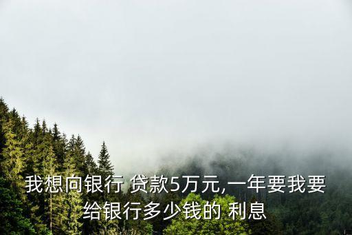 我想向銀行 貸款5萬元,一年要我要給銀行多少錢的 利息