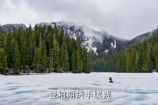 豆粕合約 一手多少錢(qián),豆粕一手一個(gè)點(diǎn)多少錢(qián)