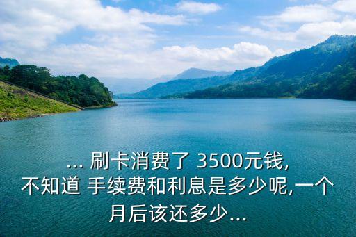 ... 刷卡消費(fèi)了 3500元錢(qián),不知道 手續(xù)費(fèi)和利息是多少呢,一個(gè)月后該還多少...