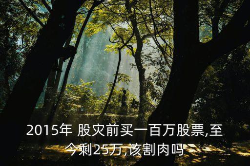 股災(zāi) 你虧了多少,2008股災(zāi)最高多少點(diǎn)