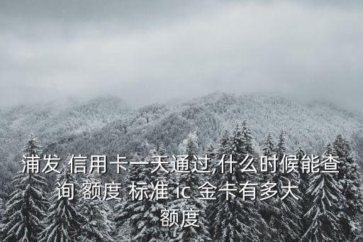 浦發(fā) 信用卡一天通過,什么時候能查詢 額度 標(biāo)準(zhǔn) ic 金卡有多大 額度