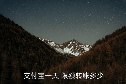 支付寶單日限額是多少,工商銀行支付寶單日限額