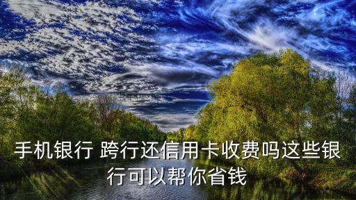 跨行自助還款手續(xù)費多少,信用卡跨行還款要手續(xù)費嗎