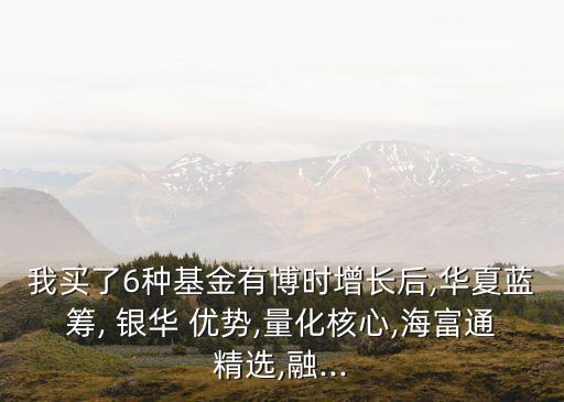 銀華優(yōu)勢企業(yè)凈值多少