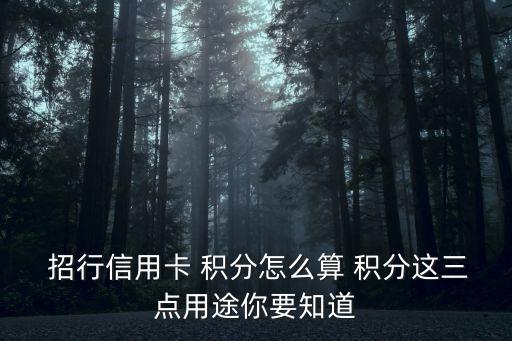 招行多少積分換一里程,招行積分1000能換多少錢