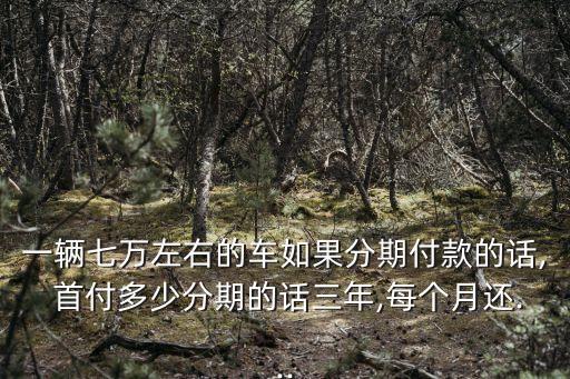 7萬車子貸款首付多少,車子付了定金貸款辦不下來