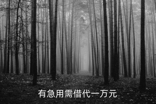 閃電貸投資需要多少錢,美團(tuán)閃電倉(cāng)投資多少