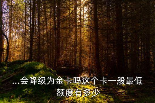 龍卡萬事達(dá)額度是多少錢,建設(shè)銀行龍卡萬事達(dá)信用卡額度
