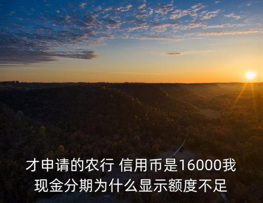 信用幣能分期多少,農(nóng)業(yè)銀行信用幣可以分期嗎