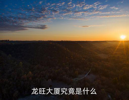 龍旺大廈究竟是什么