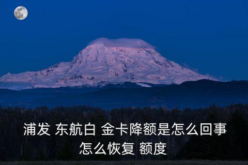 浦發(fā)東航金卡最低額度是多少,東航浦發(fā)聯(lián)名金卡額度多少