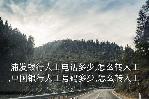  浦發(fā)銀行人工電話多少,怎么轉(zhuǎn)人工,中國銀行人工號碼多少,怎么轉(zhuǎn)人工...
