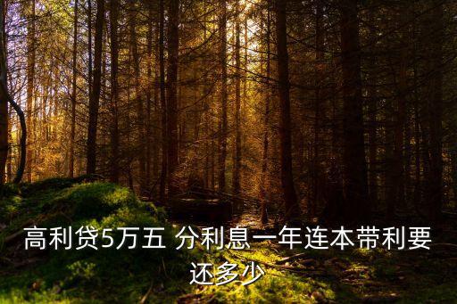 高利貸5萬五 分利息一年連本帶利要還多少