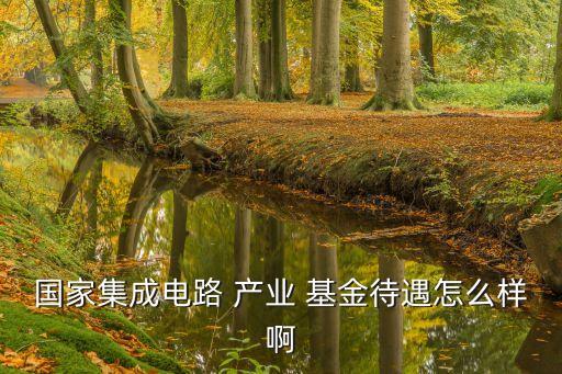 國家集成電路 產(chǎn)業(yè) 基金待遇怎么樣啊