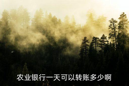 農(nóng)行卡每天最多轉(zhuǎn)多少錢(qián),為什么農(nóng)行卡每天只能轉(zhuǎn)2000