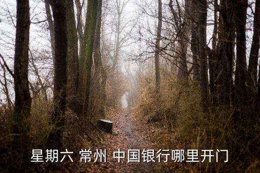 常州中國銀行支行電話號碼是多少,中國銀行常州花園分行電話號碼