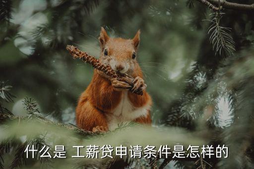 工薪貸可以借多少,教師工薪貸可以貸多少